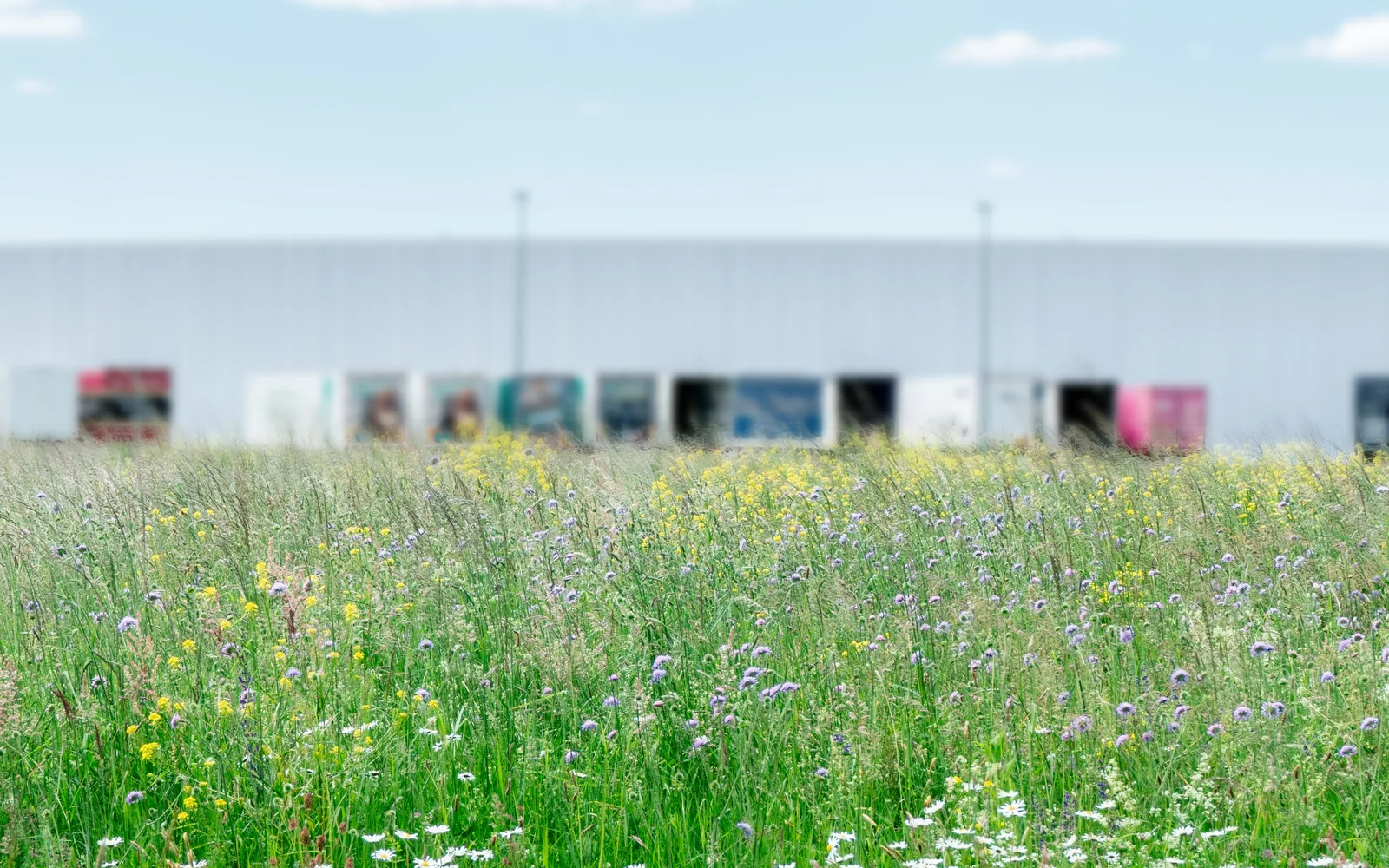 Optimisation de site avec BESS