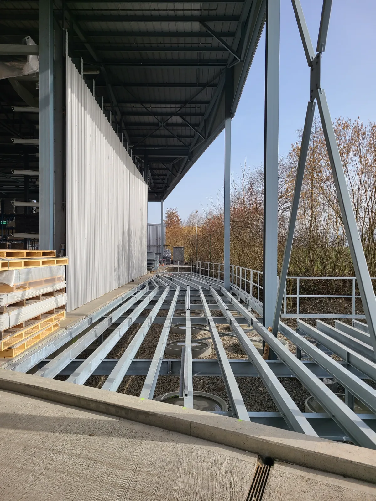 BESS SABAG - Image 5